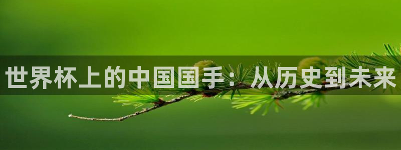 2026年世界杯赛程：世界杯上的中国国手：从历史到未来
