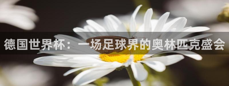 女足世界杯直播：德国世界杯：一场足球界的奥林匹克盛会