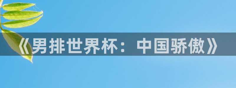 2026世界杯亚洲区预选赛：《男排世界杯：中国骄傲》