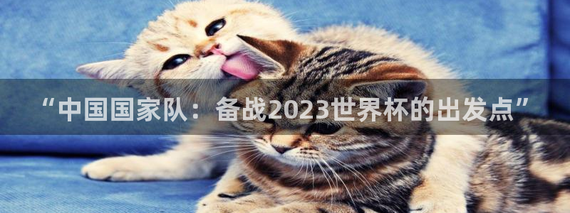 2026年世界杯赛程：“中国国家队：备战2023世界杯的出发点”