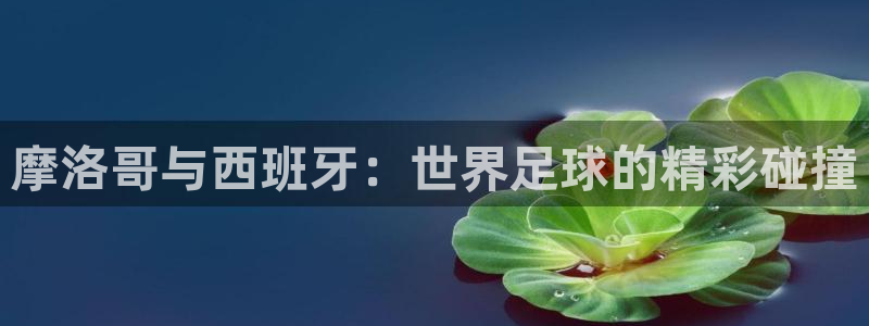 2026世界杯日期：摩洛哥与西班牙：世界足球的精彩碰撞