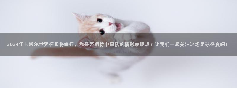 世界杯女足直播：2024年卡塔尔世界杯即将举行，您是否期待中国队的精彩表现呢？让我们一起关注这场足球盛宴吧！