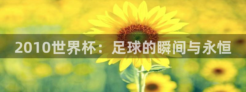 2026世预赛全部赛程：2010世界杯：足球的瞬间与永恒