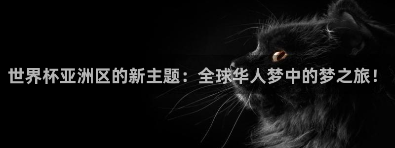 世界杯比赛直播：世界杯亚洲区的新主题：全球华人梦中的梦之旅！