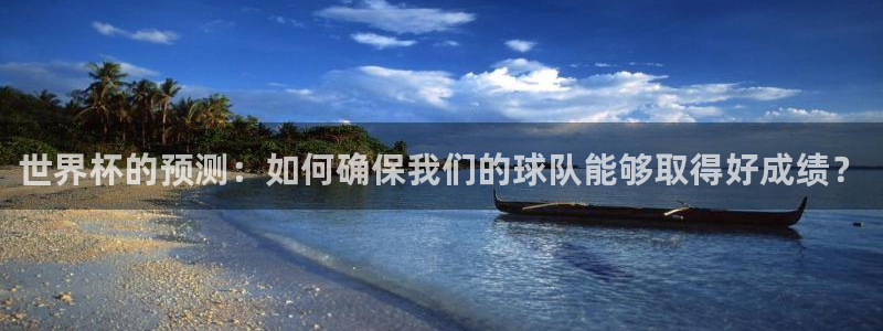 2006世界杯：世界杯的预测：如何确保我们的球队能够取得好成绩？