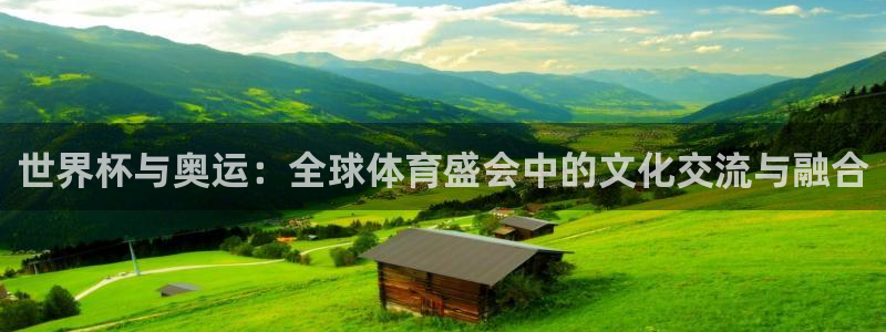 2026世界杯预选赛：世界杯与奥运：全球体育盛会中的文化交流与融合