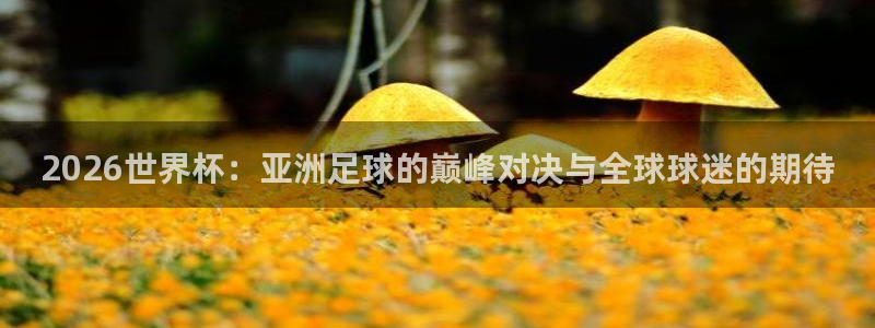女足世界杯直播：2026世界杯：亚洲足球的巅峰对决与全球球迷的期待