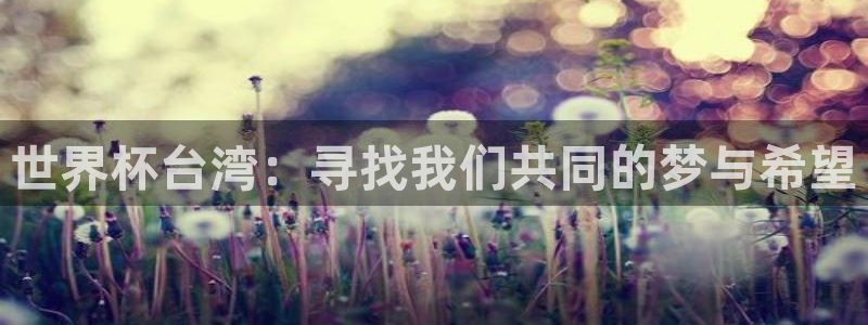 2026世界杯足球赛程时间表：世界杯台湾：寻找我们共同的梦与希望