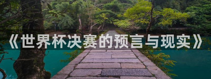 2026世界杯足球赛程时间表：《世界杯决赛的预言与现实》