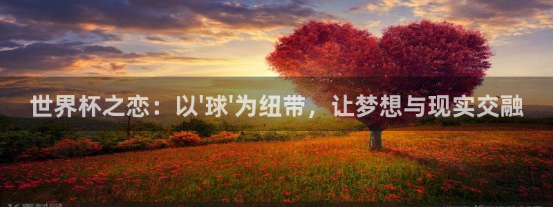 世界杯预选赛赛程：世界杯之恋：以\'球\'为纽带，让梦想与现实交融