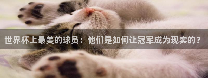 2026世界杯直播免费观看：世界杯上最美的球员：他们是如何让冠军成为现实的？